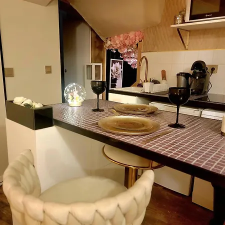 Appartement L'atelier Des Roses, Centre Lunéville